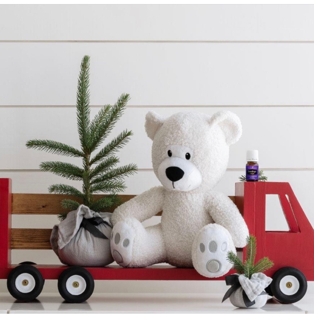 Aroma Teddy Bear